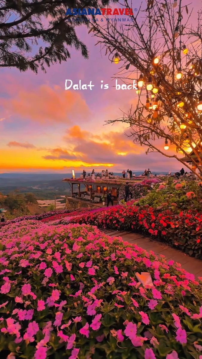 MG_GUERRA's tweet photo. Lien Khuong International Airport is open again, and Dalat is ready to welcome the world. Discover its cool climate, stunning landscapes, and authentic local experiences. https://t.co/Spiq8AZvuo