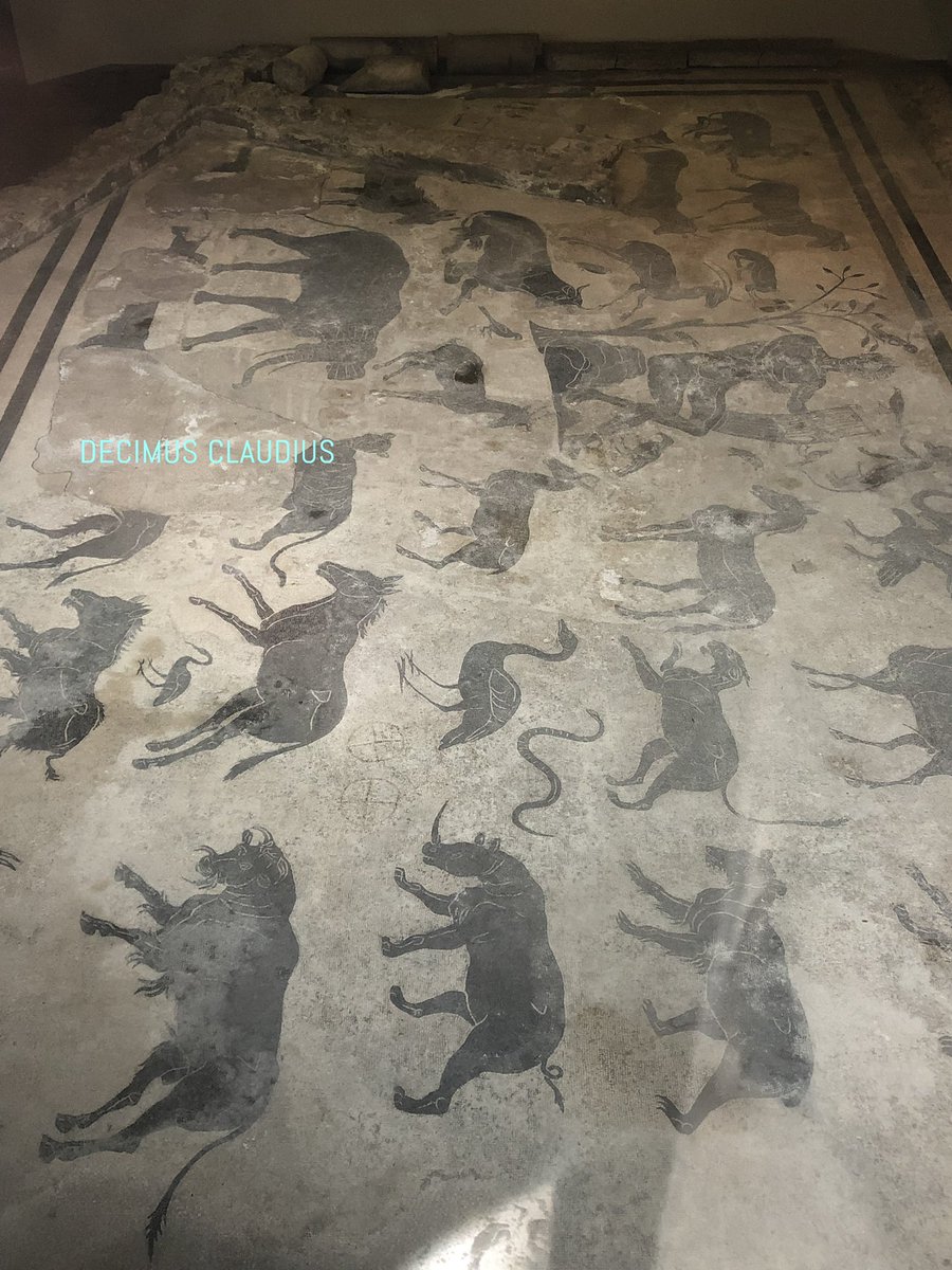 decimusclaudius's tweet photo. A Roman mosaic depicting many types of animals that were enchanted by Orpheus (in the upper right section) per Greek mythology. This dates to the 2nd century AD, was part of a bath house, and is behind protective glass in Perugia, Italy.

#mosaicmonday https://t.co/6NYztzx1WJ