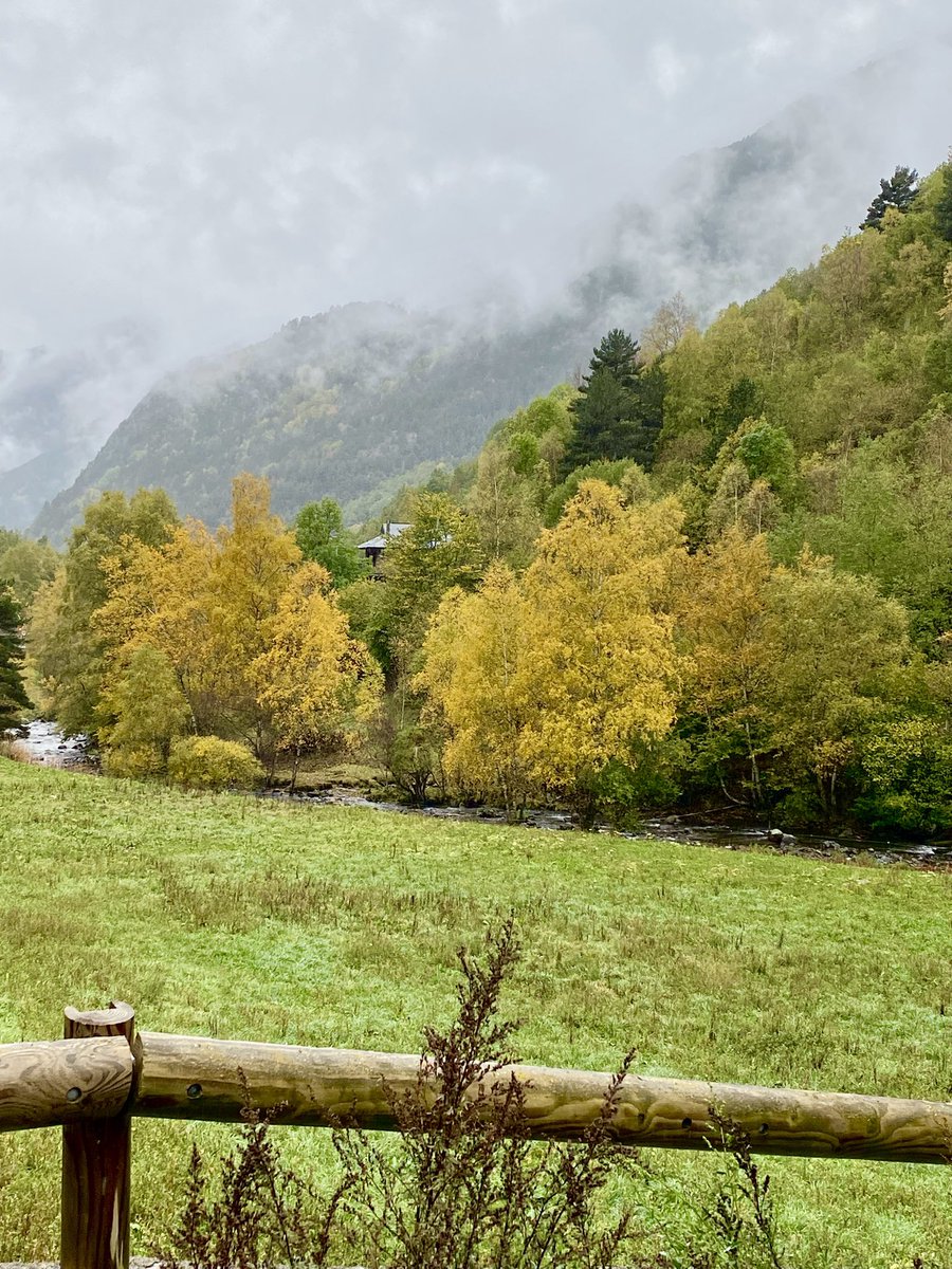 ventsdelcadi's tweet photo. La tardor en el sentit estricte de la paraula.
#tardor #llorts #ordino #andorra 
@andorratwits @VisualMeteo @Meteo_Pyrenees @aquilatierratve https://t.co/5951eTvEQm