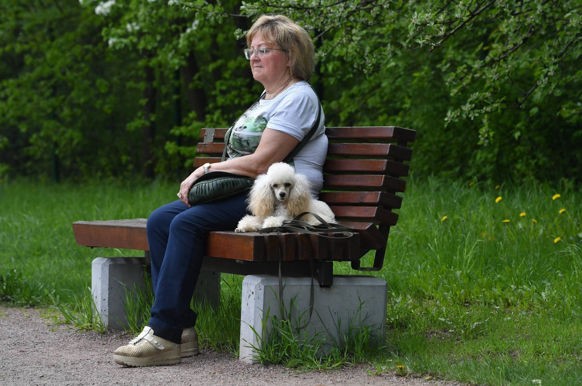dutrasebastiao's tweet photo. I love to read in the park, and the fresh air while taking a stroll makes my saliva taste sweet with joy. https://t.co/YWJZeDOFGe