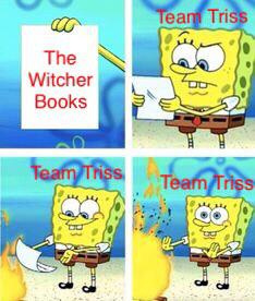 WitcherHour's tweet photo. doesn't look like anything to me... #witcher #trissmerigold
Source: reddit https://t.co/I7yoSjxIPd