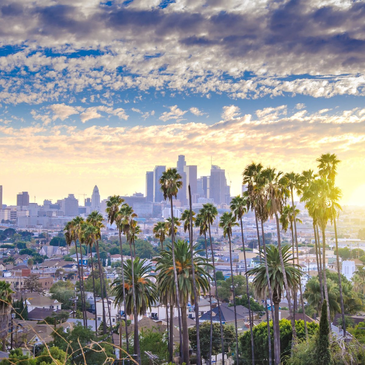 DestiniyKucuk's tweet photo. Los Angeles, Hawaii Cruise &amp; Vancouver from Glasgow from £2, 947pp. Depart 1 May 2027 for 15 nights, including LA, Honolulu, an 8-night Celebrity Edge cruise and Vancouver. Full board on cruise. Local fees apply. ATOL protected. Price subject to https://t.co/auZSnQBTN4