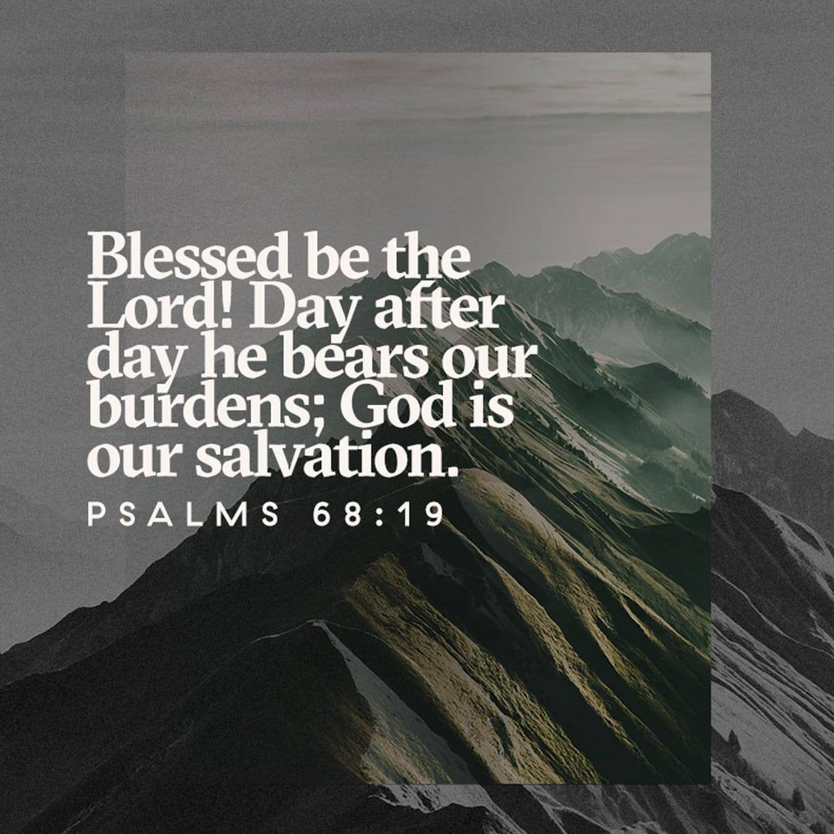 kayleanlocklear's tweet photo. https://t.co/72gHtSvkQn https://t.co/5vQhJq5Ljh