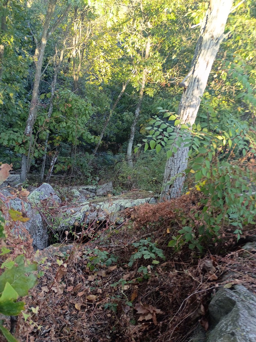 Robology13's tweet photo. 'Top of the rock' shots from the other day

#MountainTopView #HighEleveation #MountainView #AutumnViews #PAinAutumn #PennsylvaniaInAutumn #MountainsInAutumn #AutumnMountains #MountainHikes #ScenicViews #MountainScenes #MountainOverLooks #OverLooks #OverLooked #HikingViews https://t.co/oBm1plZYlt