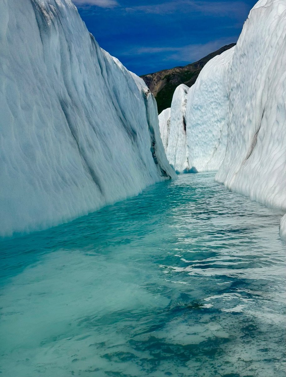 estelleazure's tweet photo. Lived my dream of paddleboarding in Alaska’s glacier turquoise waters.
Forever grateful to have lived this once in a lifetime experience ❄️🧊
#adventurer #Nordic #alaskatrip #BUCKETLIST https://t.co/jvMYXK3jL3