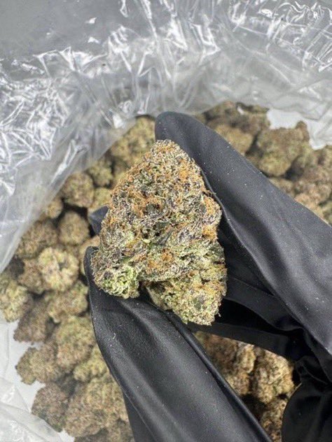 deuxtasma's tweet photo. Dispo en livraison sur #paris #Lyon 
Weed
Beuh https://t.co/pmNxfXhjHO