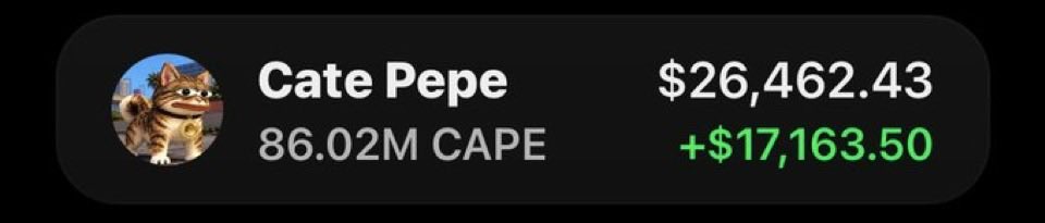 Solprofit1's tweet photo. $CAPE is making serious waves! 🌊🚀

My Alpha TG fam is catching the momentum and celebrating another exciting move! 🏆🥳🔥

Who’s ready for the next play? 👀💎

CA: 4by8accPvdRcmDEvJy1svdSJMwfVcNGyWqgQw9EPpump

#CAPE #Solana #Memecoin 🚀 https://t.co/6sZCD63q2s
