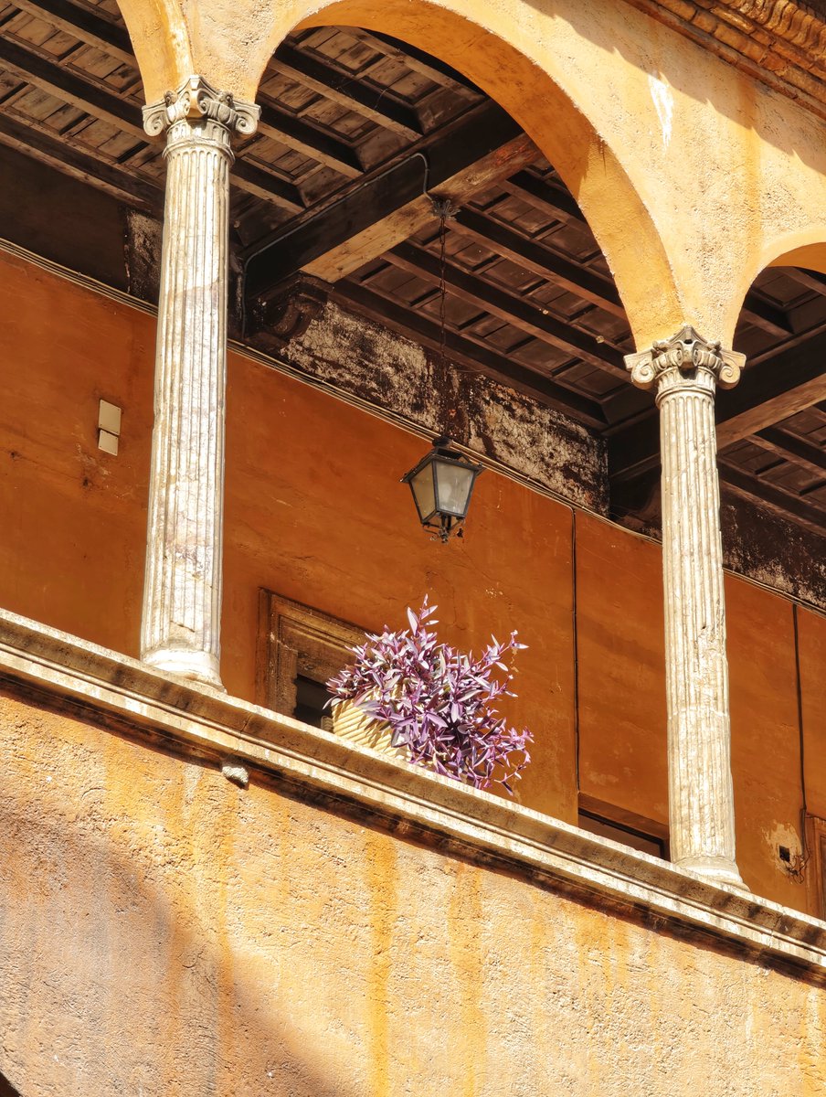 antmoose's tweet photo. For #SpoliaSunday, these fluted C15 #spolia #columns in a courtyard of the S. Spirito hospital survive from the ancient Horti Agrippinae below. In their presence, perhaps, the cruel emperor #Caligula would have unfortunates suffer arbitrary and violent fates. https://t.co/uWp8hkkgbF