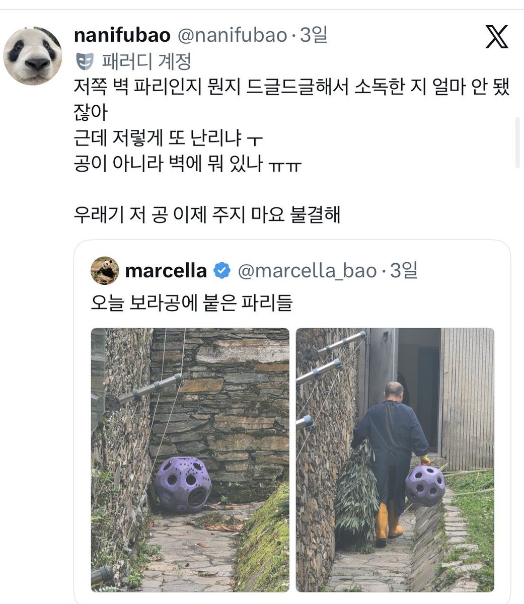 rlatjstnr031946's tweet photo. 치료는 외면, 먹이도 제때 주지 않아
잦은 배고픔에 시달립니다!
말라빠진 대나무와 댓잎 등 부실한 먹이,
오를 나무 한 그루도 위생도 보장 못 하는
곳이 따뜻한 보금자리요?
판다를 지키는 게 본능이라면서
외면과 방치를 반복합니다!
보호의 책임을 행동으로 증명하십시오
https://t.co/j7ym6QWe6E https://t.co/Q3avJ8jrYv