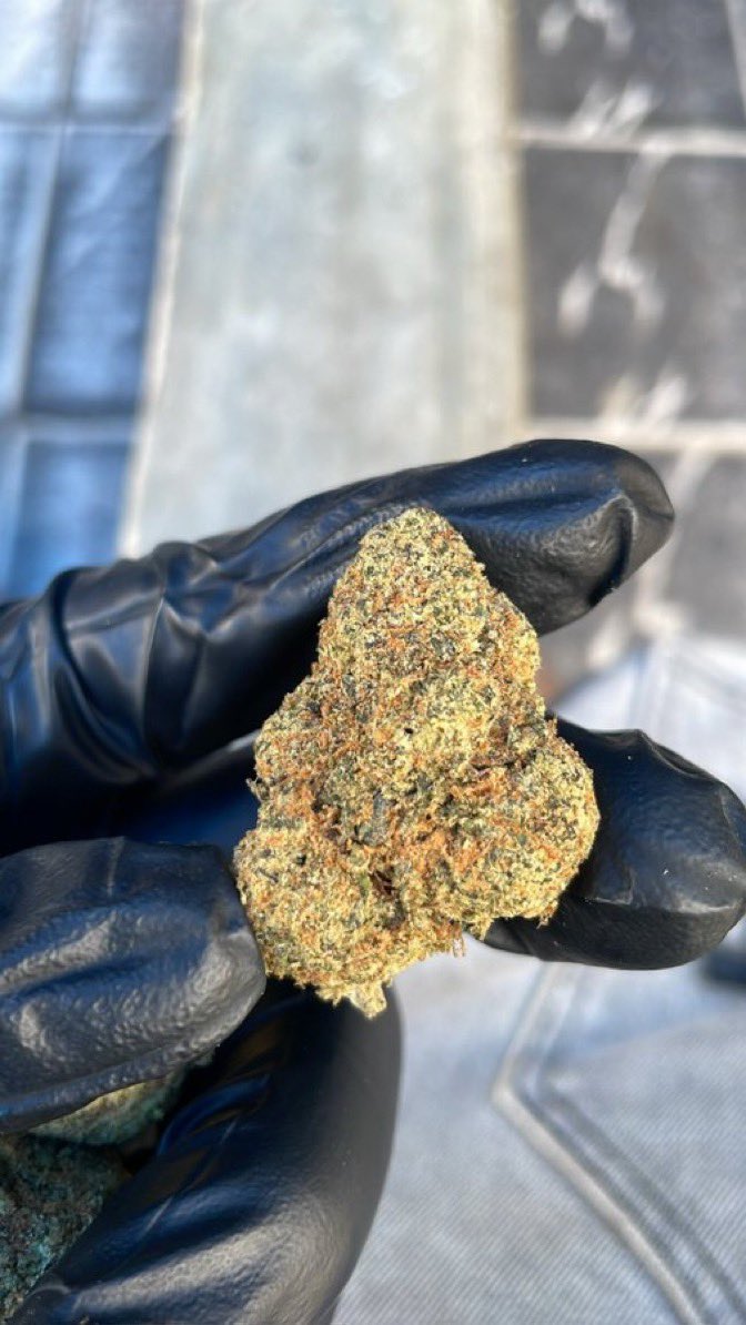 deuxtasma's tweet photo. Livraison beuh 📦🚛🍃🍫
#weed  #Paris #Orléans  #Angers #Nice #Lyon #Toulouse #Lille #Niort  #Oléron  #Bordeaux #weedfrance #bedofrance #canabisfrance  #Toulouse #Angoulême https://t.co/Z2XULH8sVu