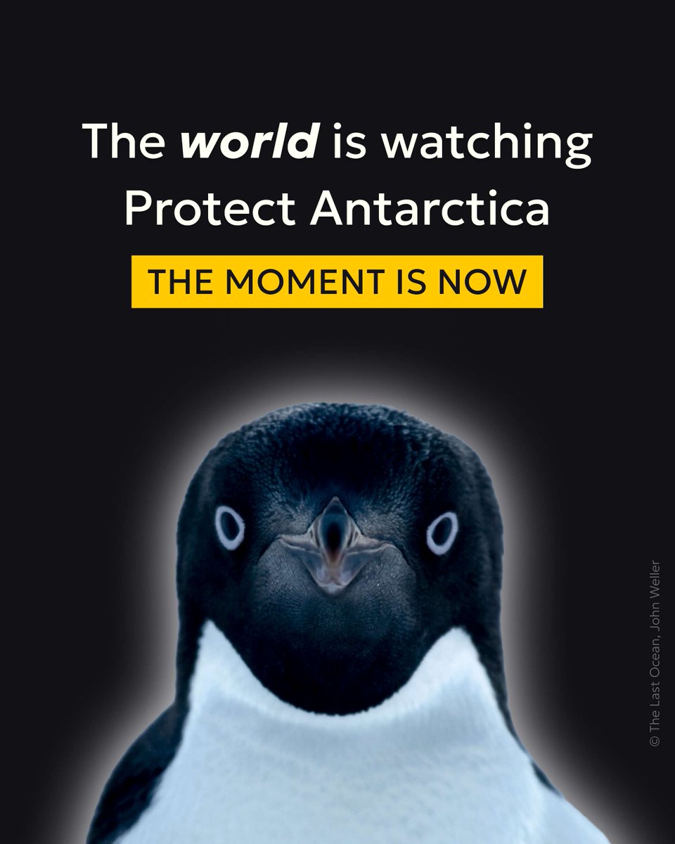 Now is the time to #ProtectAntarctica CCAMLR begins today @AntarcticaSouth