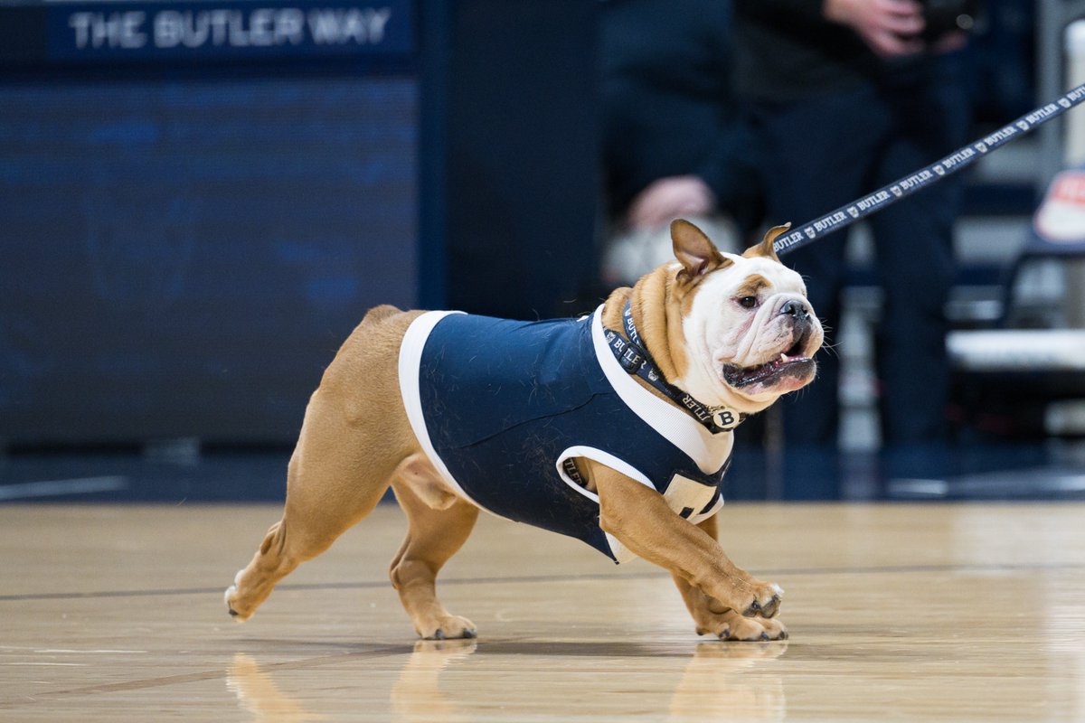 TheButlerBlue's tweet photo. Let's Go @ButlerMBB !🏀💪 https://t.co/7qMB5Yi4sj