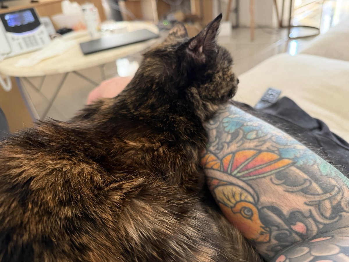 swewing's tweet photo. Sending lots of hugs to those who also lost their fur babies.

I haven’t gotten back to everyone as I’m a bit overwhelmed and burst into tears whenever I open this post but your kind words mean a lot.

Spent the weekend with my partner and our 15yo Hana. https://t.co/xZCsSFNhuu