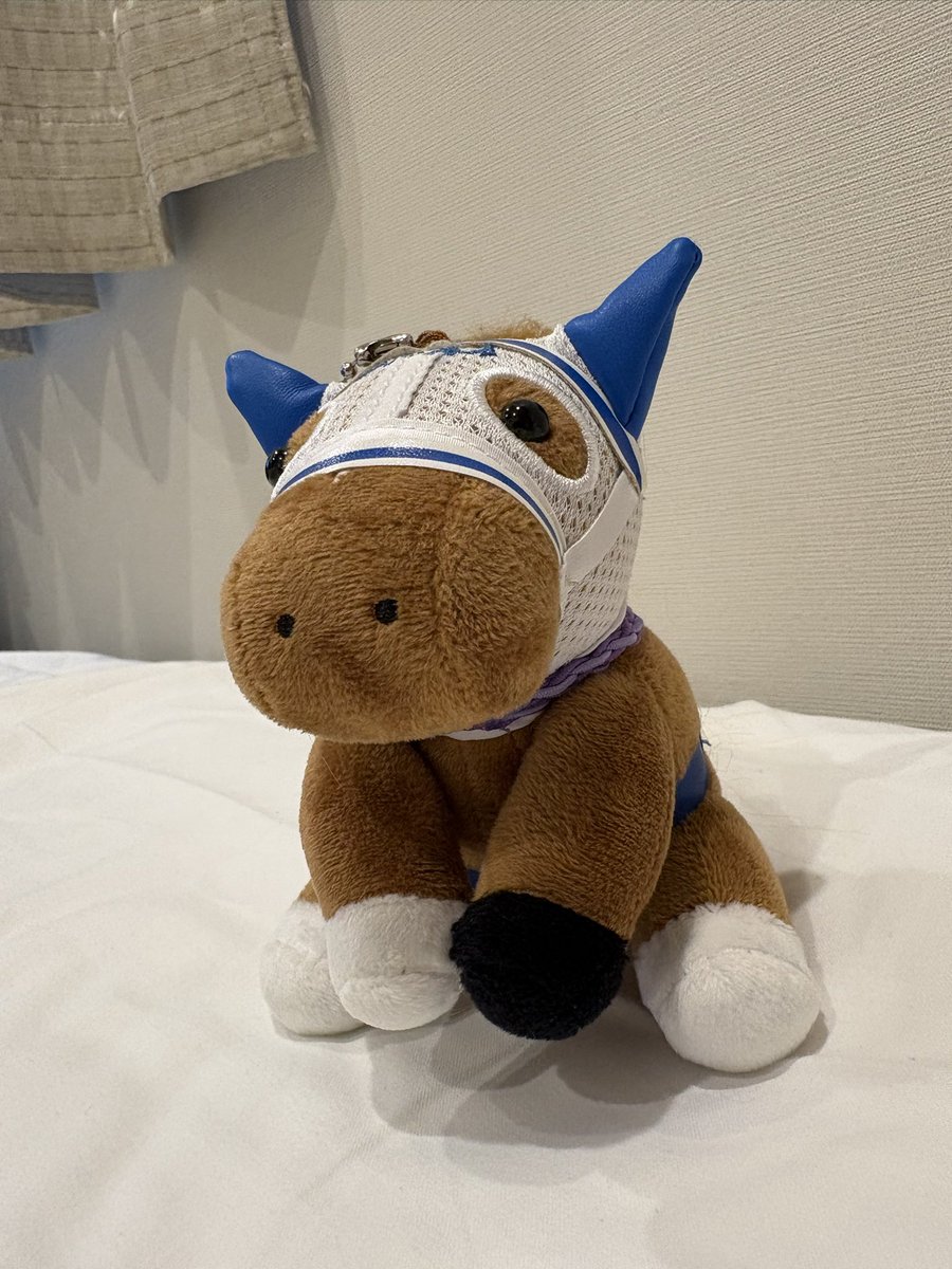 monyupaka's tweet photo. ウチのピエちゃん！
編み込みしてもらったよ！ https://t.co/Lds807SbES