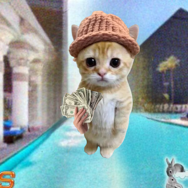 gato_pf's tweet photo. @a1lon9 Millionaires will be minted via solana:55A3VxMBfzw6uSe64zms5iMPw9k6kx9WzzusbCU6pump https://t.co/WGQWMULQ5K