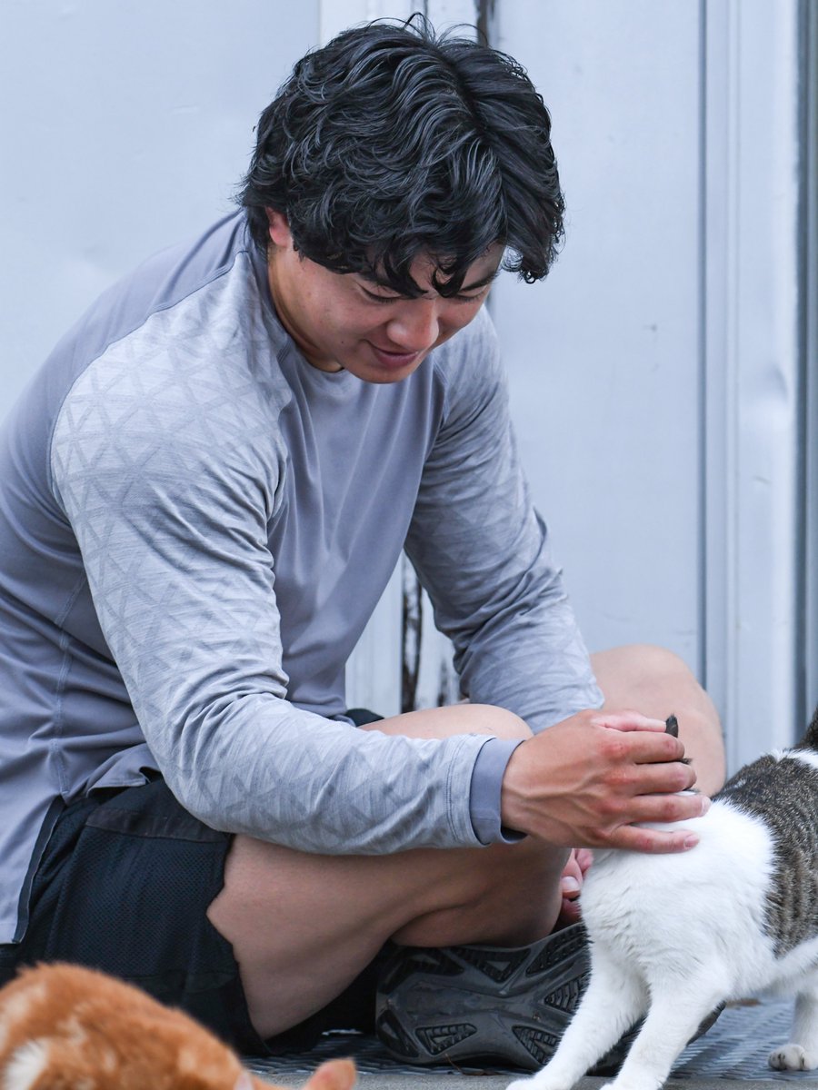 tskt_yt's tweet photo. 朝のご挨拶🐈☀️

#津留﨑大成 投手
#Rakuteneagles https://t.co/njUXl2mWC3