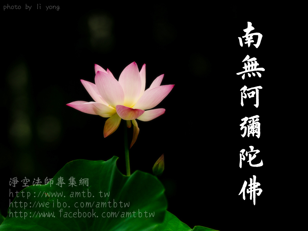 FSJFtEO5mD4DH2n's tweet photo. 【墨寶法語】 https://t.co/kXo44663G5