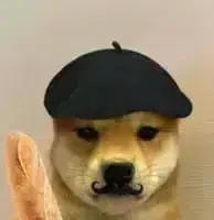 RSspeedrunSOL's tweet photo. France is currently trending

We need a meme

Oui means yes in french

Oui, this will send

Oui, we go to millions

Send $Ouinu https://t.co/QKtz9bseHc