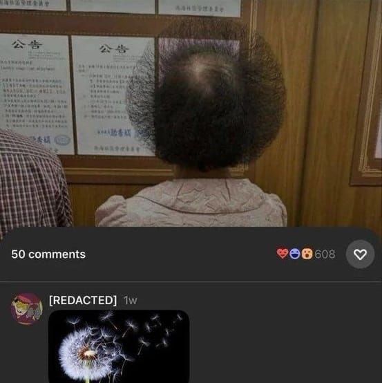 nocontextmemes's tweet photo. https://t.co/XvpLHYMGua