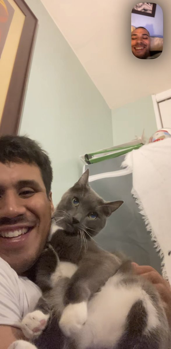 BayAreaBubba's tweet photo. Our cat is so damn extra 🤣 https://t.co/WoW8oAVHhV