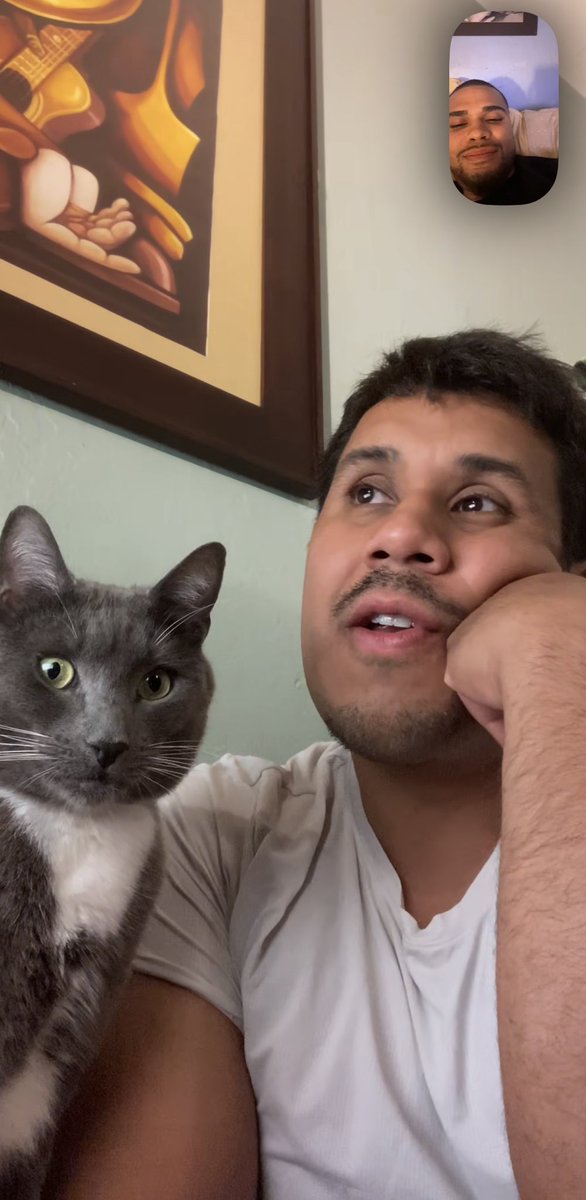 BayAreaBubba's tweet photo. Our cat is so damn extra 🤣 https://t.co/WoW8oAVHhV