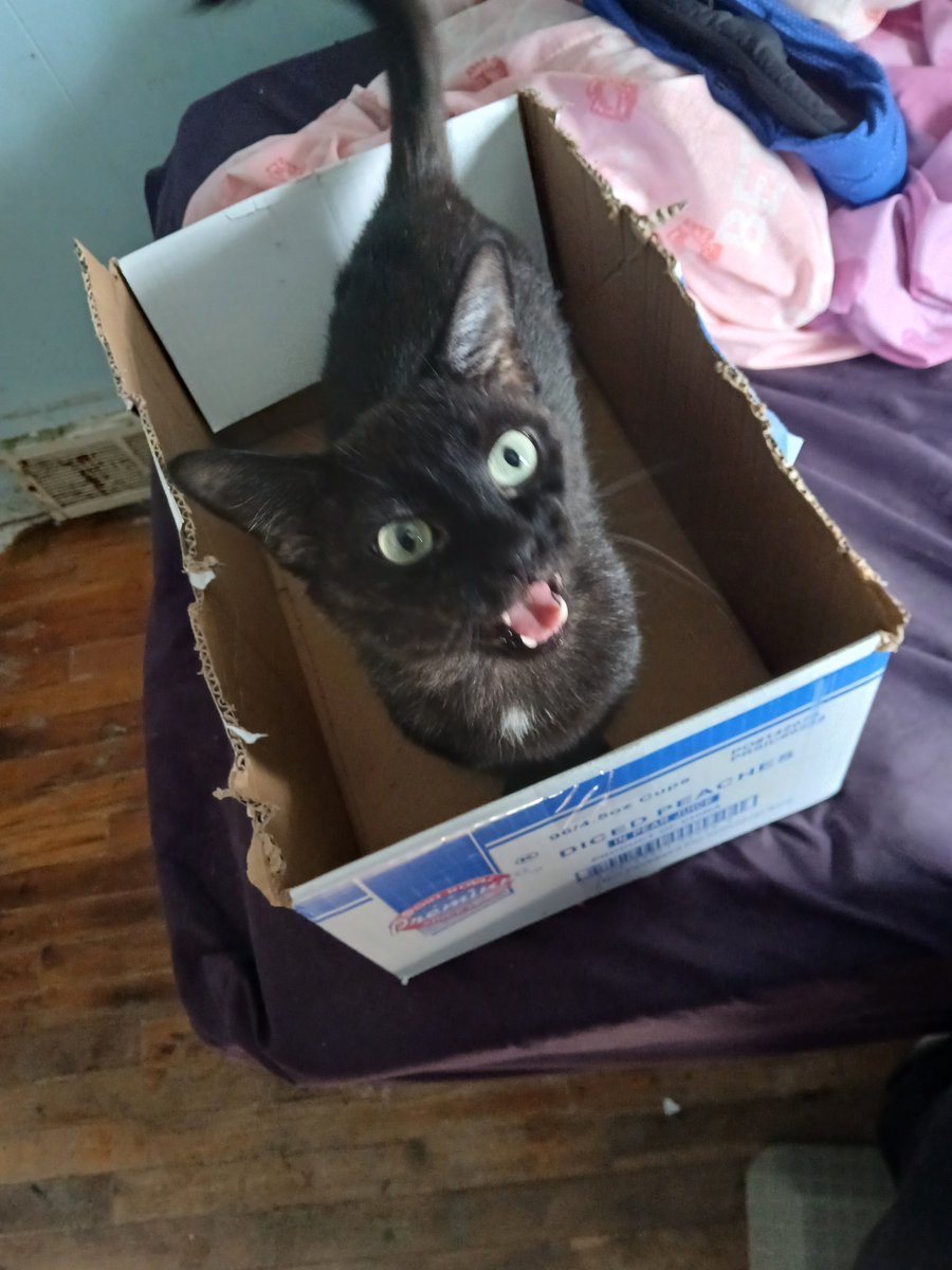 jowlenrobertso2's tweet photo. My little  cookie monster. Being so sweet. https://t.co/an5T8moAbX
