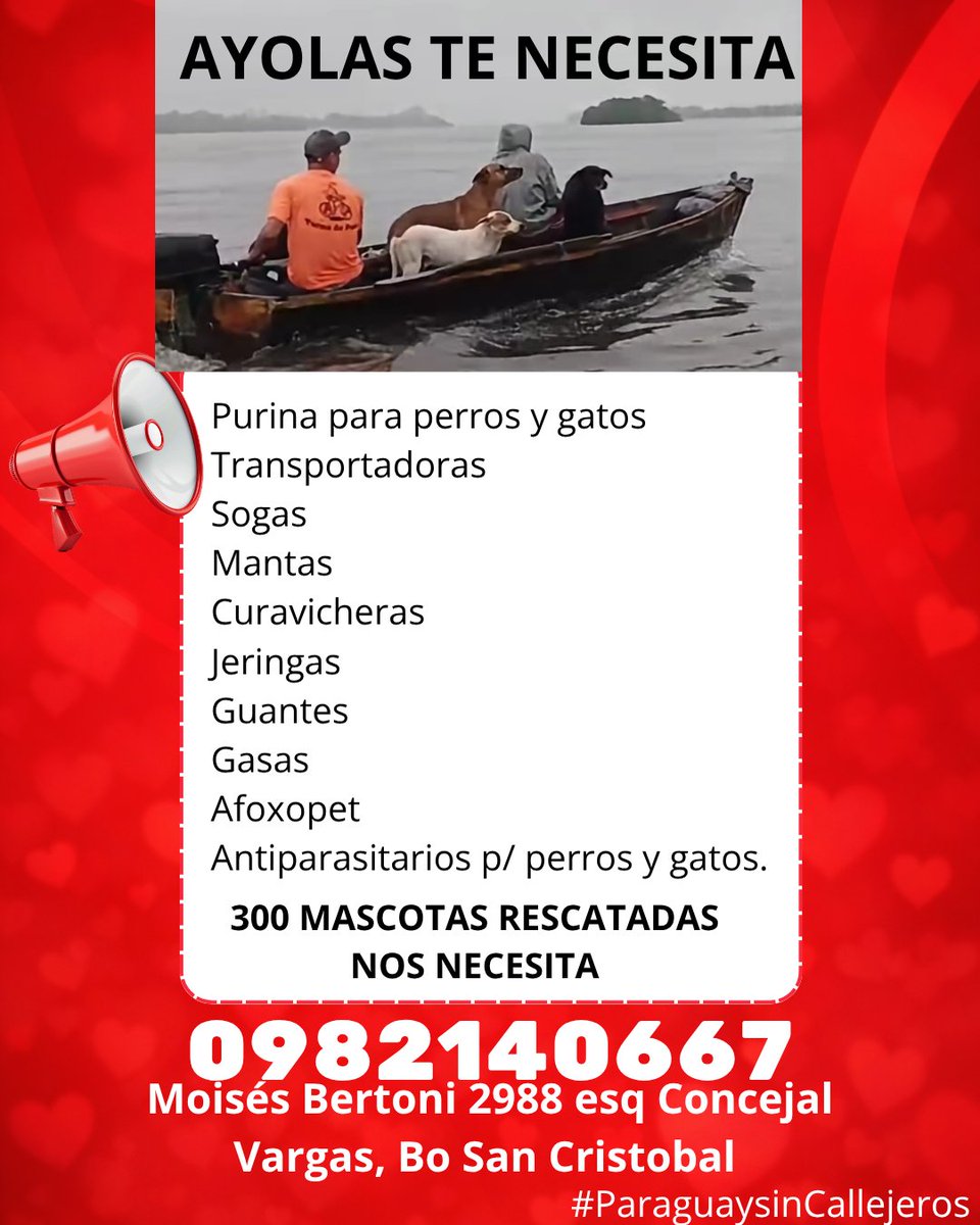 edithortizg's tweet photo. DIFUNDAN 🙏  Habilito punto de recepción de donaciones en Asunción, para mascotas rescatados de Inundación de Ayolas.
Trabajo en conjunto hace años con S.O.S. Animales Ayolas, Sandra Avalos. 
Todas las tardes, llevaré a transportadora las donaciones recibidas. https://t.co/gQGLGXi1Bt