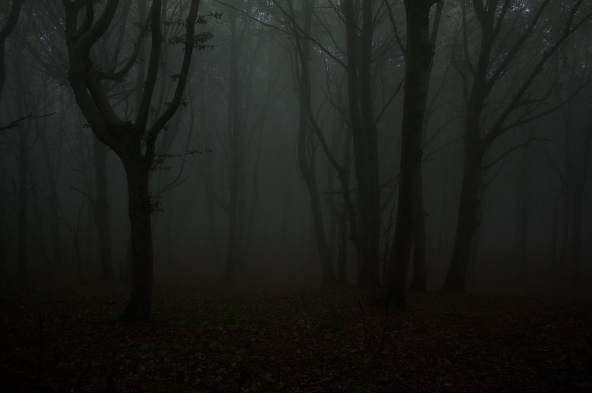 WriterForest's tweet photo. https://t.co/3Ujda5v14J