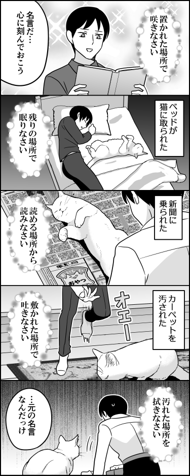 ito_44_3's tweet photo. ネコに人生を捧げなさい https://t.co/N4QTYGFyTO