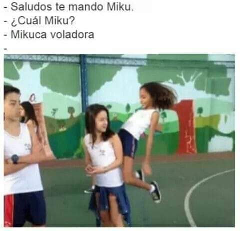 SoyKarol_cat's tweet photo. 😝🤣🫢Miku la voladora.✈️ https://t.co/8J2a9IGMrd