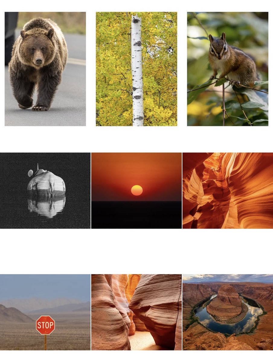 AsiaLens's tweet photo. Are you #InterestedInPhotography? Check out my #Instagram account and please give me a follow 📷👇 

https://t.co/xz7ZzEjYZI https://t.co/sxuk94F9Se
