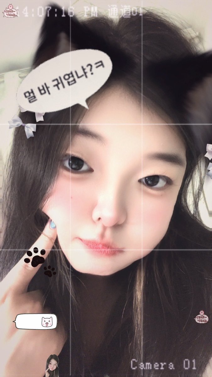 Roxybai1105's tweet photo. 🐱 https://t.co/UmZlR1voic