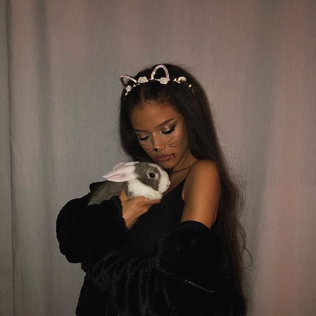 HookAnarchy's tweet photo. Found this little guy, if someone is missing their bunny. https://t.co/mkKNO9Q8NX