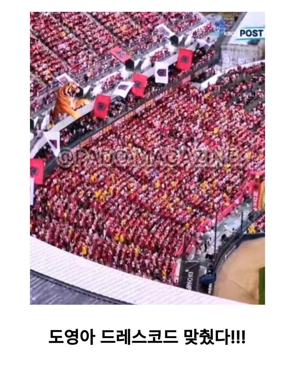 saeppbwe29919's tweet photo. 김도영 한마디에 진심으로 응답한 KIA 팬들 ❤️

1차전 승리 후 인터뷰에서 팬들에게 드레스코드를 맞춰달라고 장난스럽게 부탁했던 김도영.

그런데 KIA 팬들은 장난으로 듣지 않았습니다. 😂

2차전, 경기장은 온통 붉은 유니폼 물결로 물들었고 팬들은 다시 한번 하나로 뭉쳤습니다.

그리고 팬들의 응원에 보답하듯 KIA는 1회 말 LG 선발 임찬규를 공략하며 기세를 올렸고, 결국 6-3 승리를 거뒀습니다.

중계 화면을 캡처해 “도영아, 드레스코드 맞췄다!” 라고 외친 팬까지.

선수의 작은 한마디를 행동으로 보여주는 팬들.
이런 게 바로 팬심이고, 야구장에서만 느낄 수 있는 낭만 아닐까요? 🔥

출처: KBO, 뉴시스