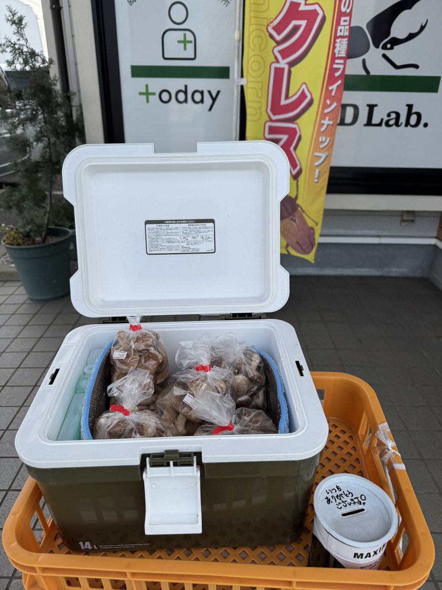 HDLABOc5's tweet photo. 本日も店頭にて椎茸を販売しております🍄

お鍋が美味しい季節になってきました✨✨✨

ぜひお立ち寄りください♪

#today若松町 #椎茸 #千葉市 https://t.co/6yWwg8tkAU