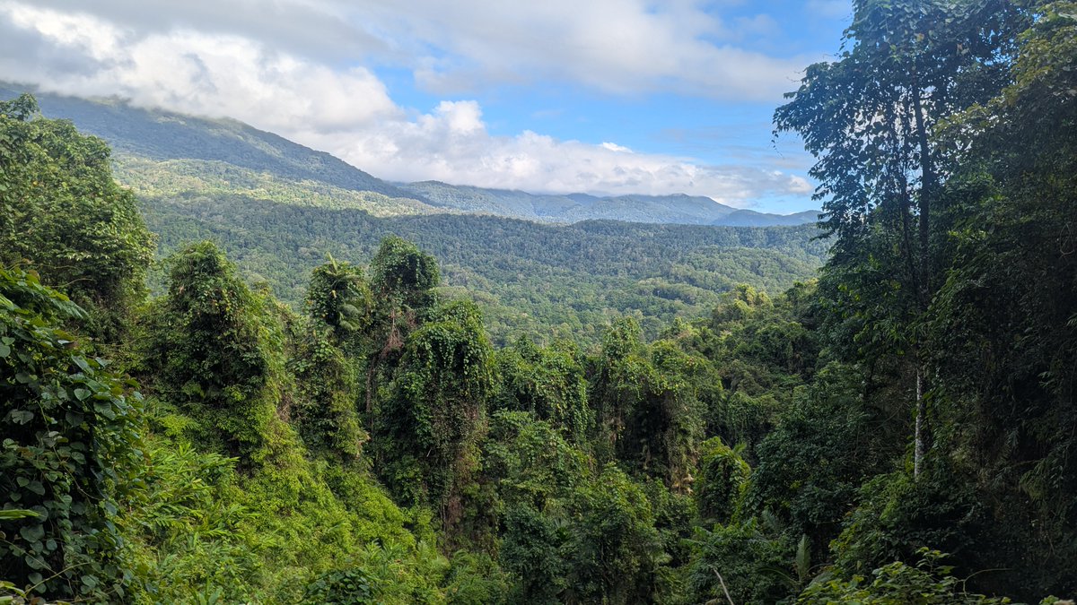 kimcalders's tweet photo. Job Alert!

We are hiring a new PhD candidate to work on digital twins to understand forest disturbances and recovery from space, and to contribute to our @ERC_Research and @FWOVlaanderen projects.

More info ➡️ https://t.co/7GGETCfvm9  
 Application deadline: 15 Nov 2026 https://t.co/GDp9xqDZ0h