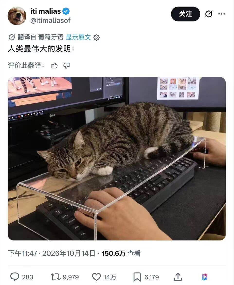 yumiacn's tweet photo. 老板：我们只防猫不防猪😡 https://t.co/2hrgOluFdw