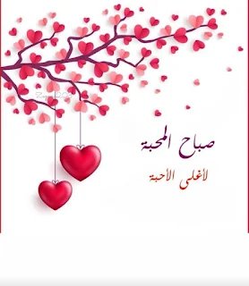 dridiah38533996's tweet photo. @malak_h2020 https://t.co/5fZnnUalIz