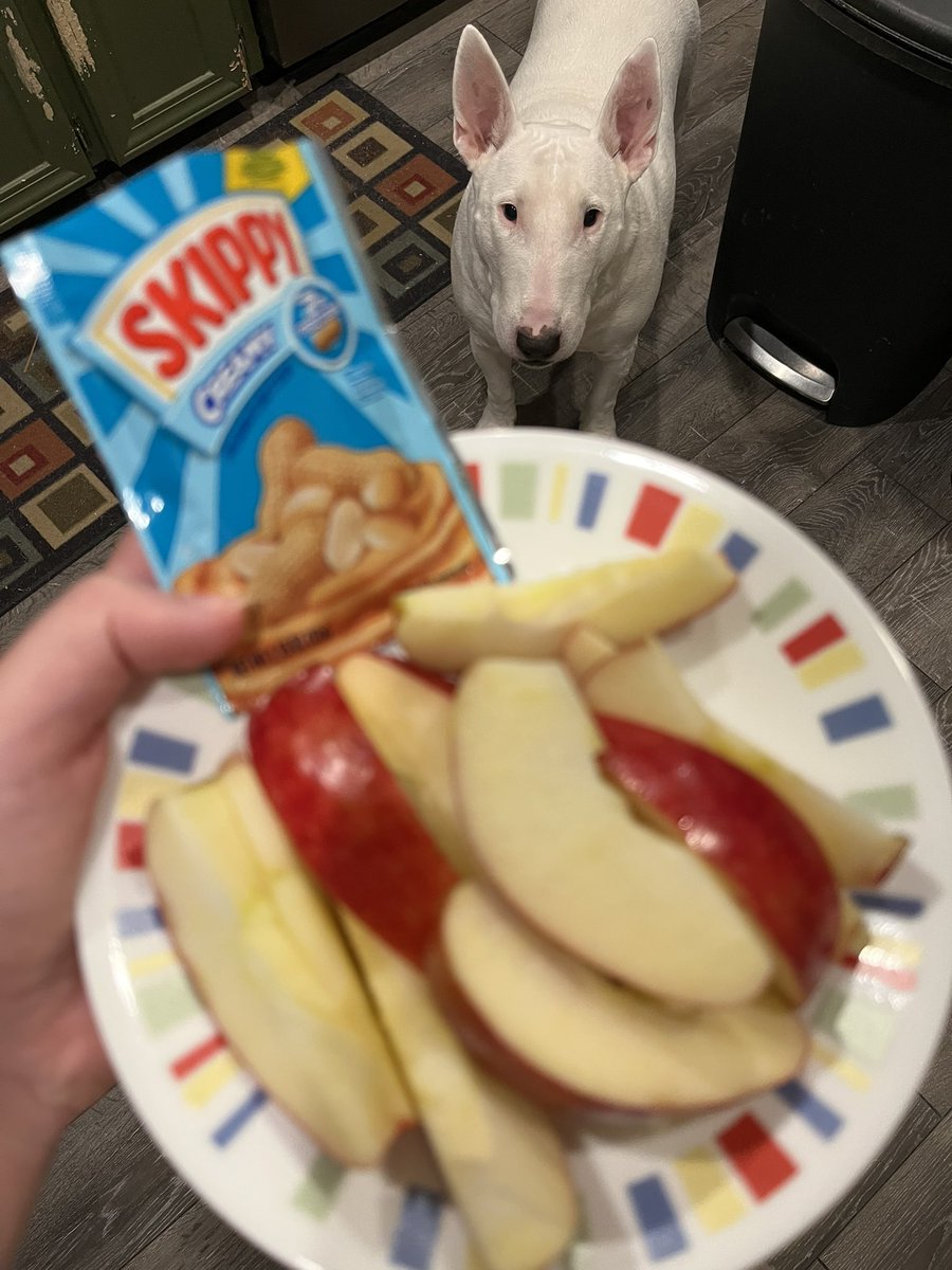 PupperNelson's tweet photo. I see you have apple slices and Skippy creamy peanut butter. 

I, too, enjoy apple slices and Skippy creamy peanut butter. https://t.co/Q1YYa1oam1