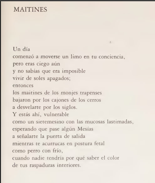 nausicaadelaire's tweet photo. "Y estás ahí, vulnerable
como un sietemesino con las mucosas lastimadas,
esperando que pase algún Mesías
a señalarte la puerta de salida
mientras te acurrucas en postura fetal
como perro con frío..."

Delia Domínguez https://t.co/GEvU0v7C78