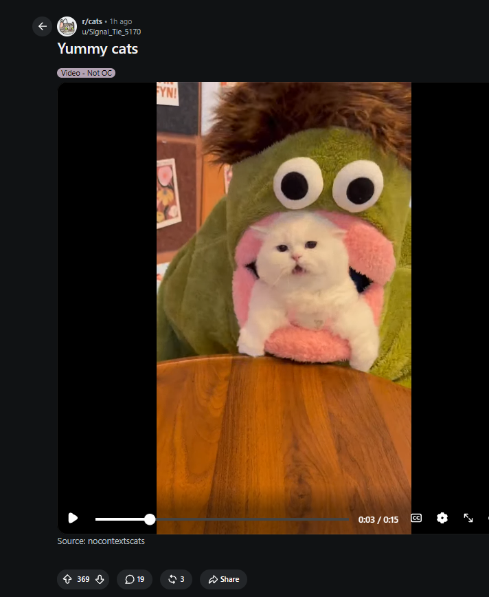 Fyntdev tweet picture