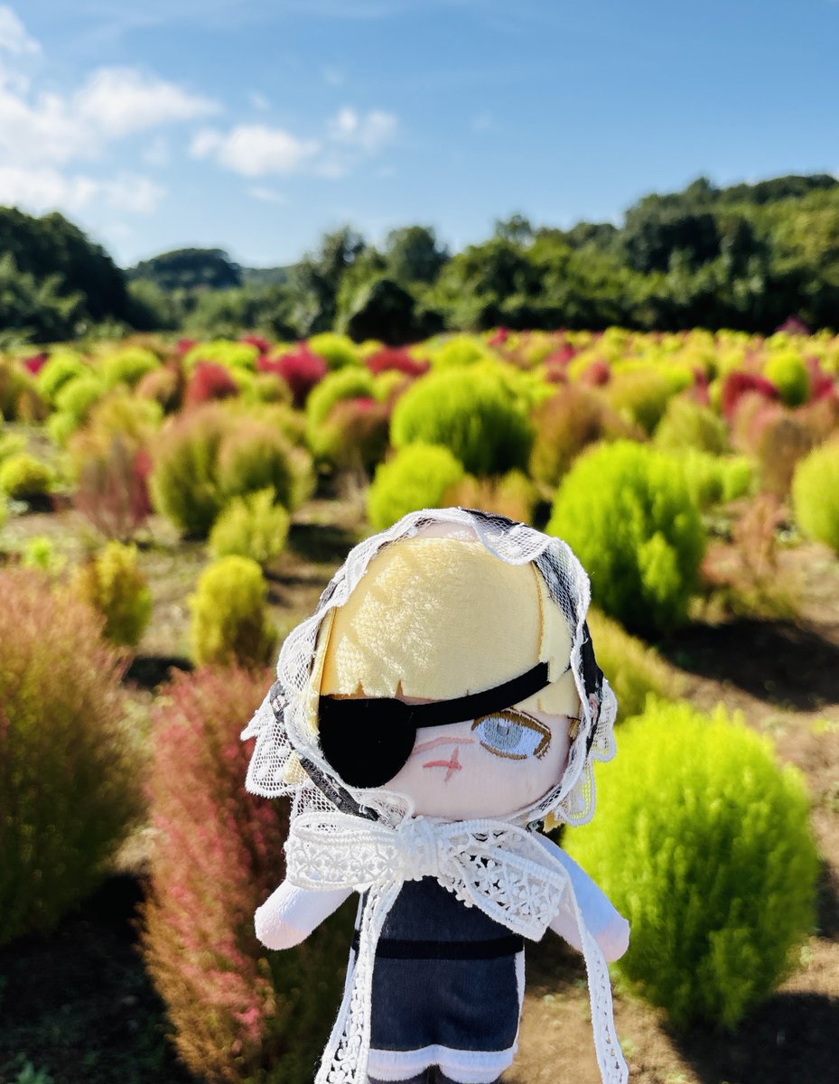 nezumi_no_undo's tweet photo. 秋のお散歩 https://t.co/fHY5MMWIUf