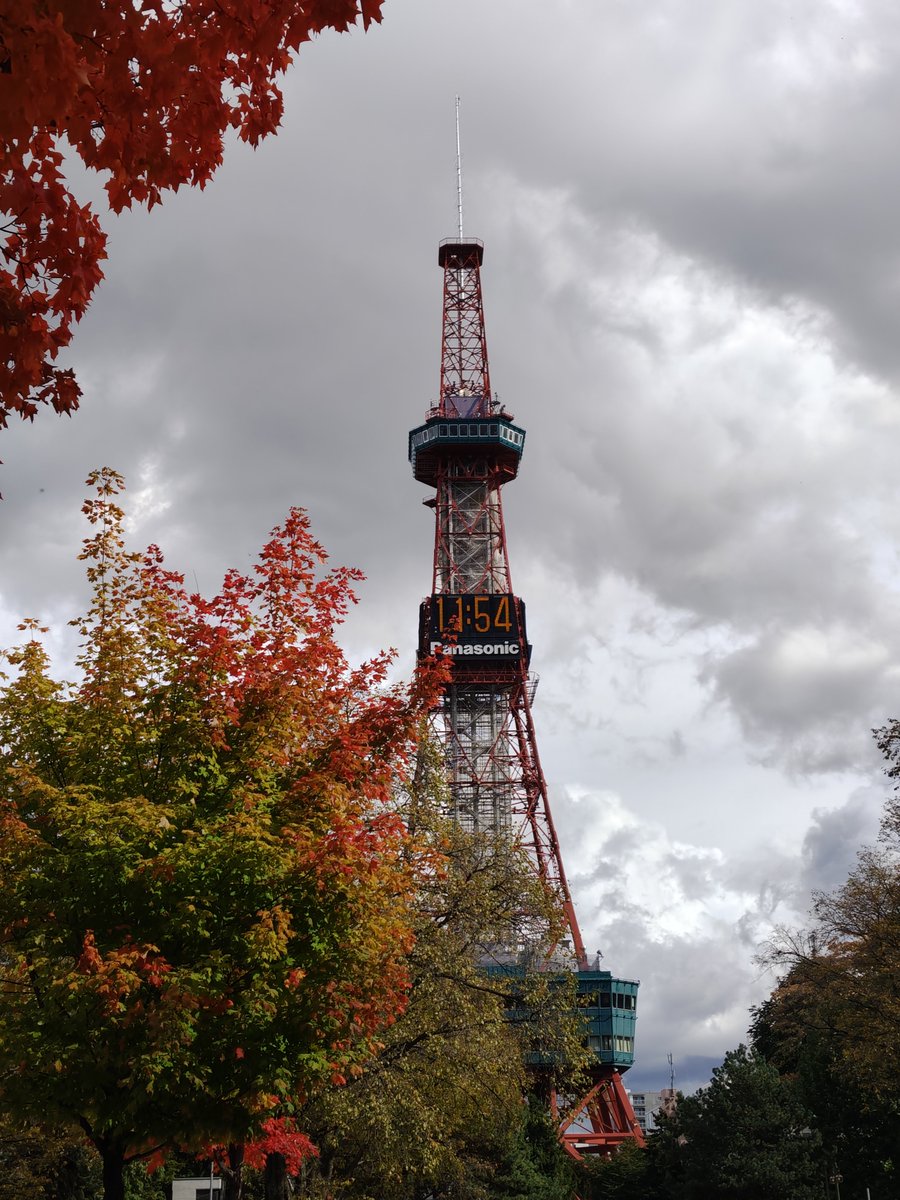 shih07_i's tweet photo. 紅葉がきれい🍁 https://t.co/CrPr4EtScM