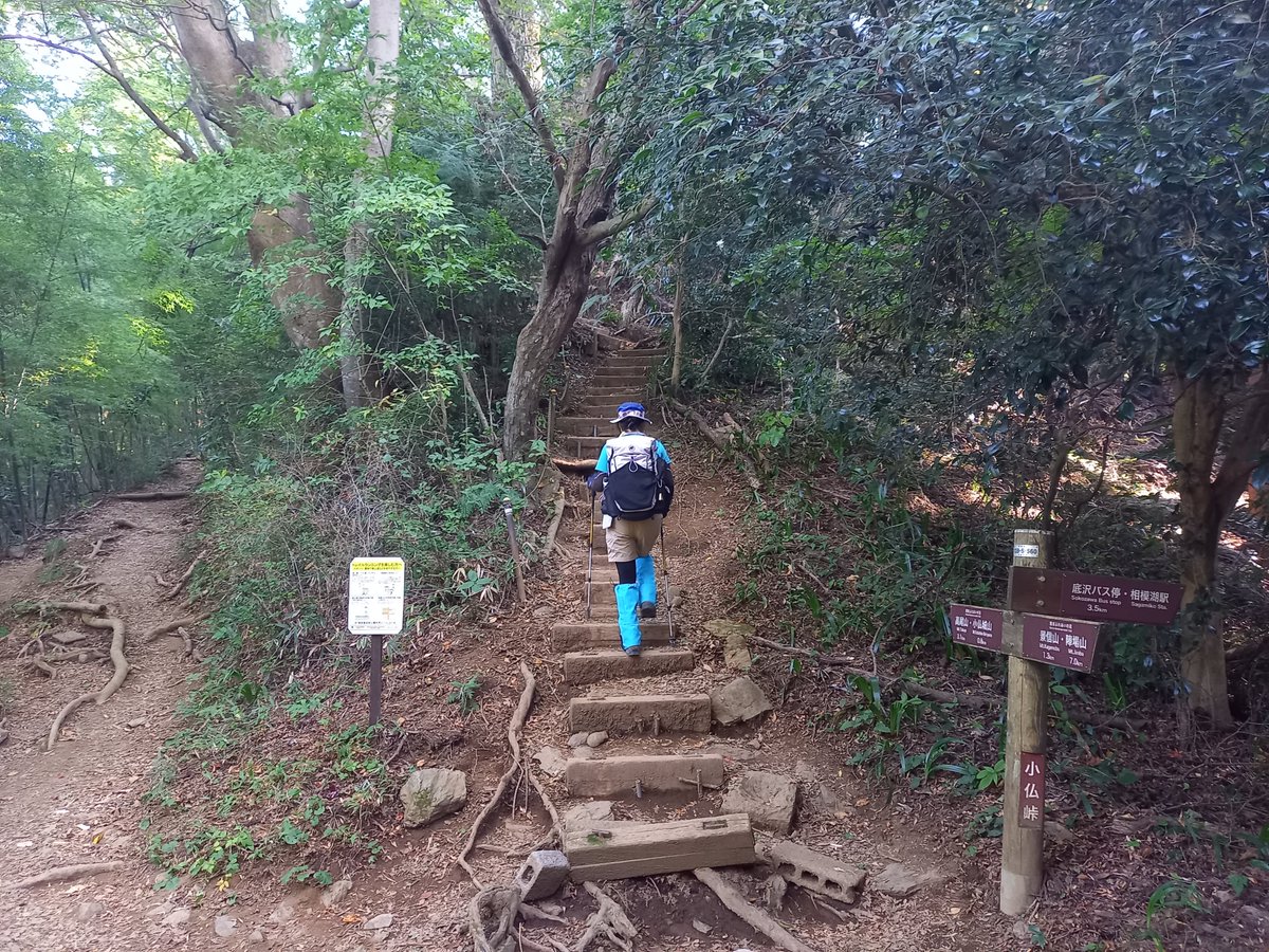 teamgaspard's tweet photo. 小仏城山へ行きました～ https://t.co/yeDRbssTWf
