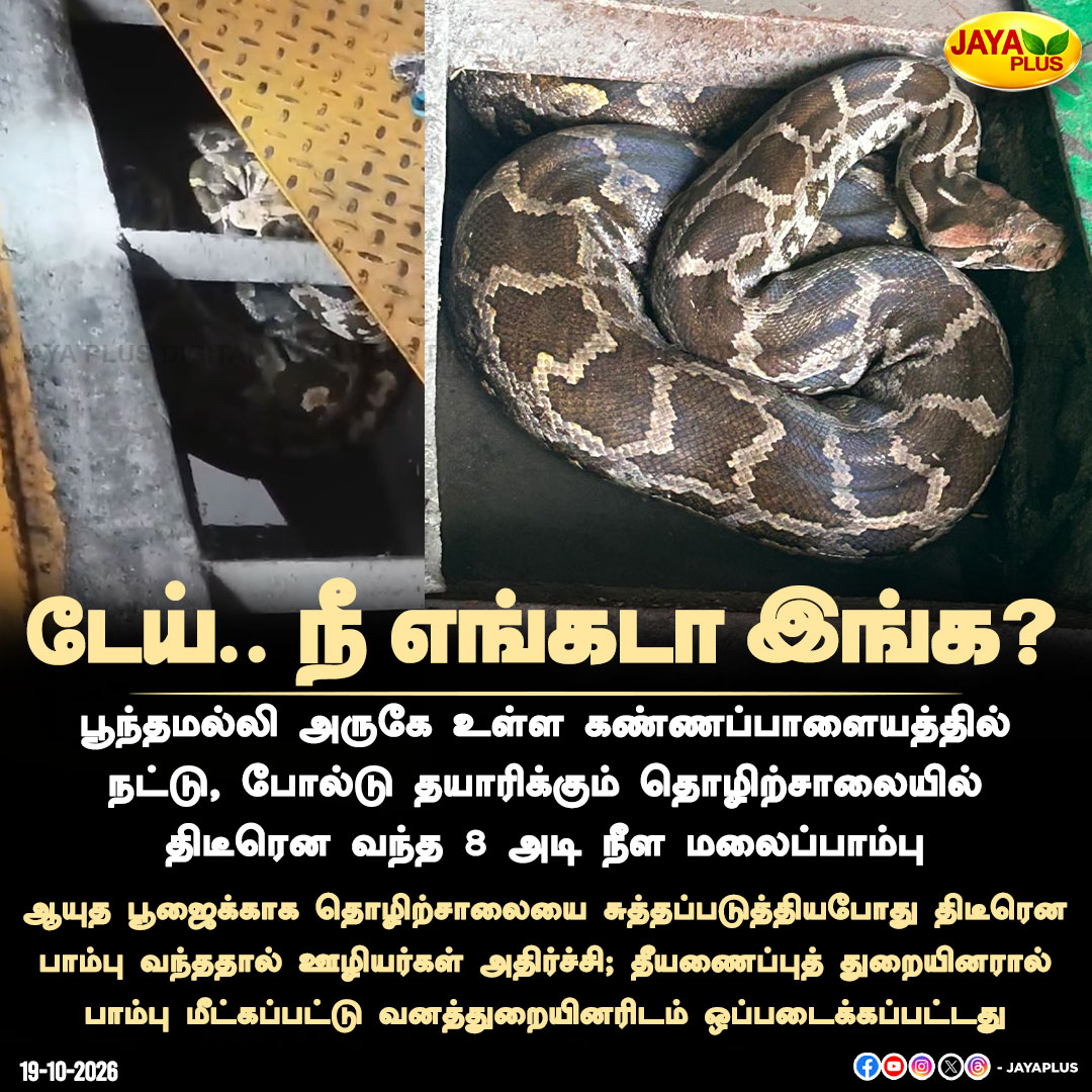 jayapluschannel's tweet photo. தொழிற்சாலைக்குள் புகுந்த 8 அடி மலைப்பாம்பு! 🐍😲

#Poonamallee #Kannapalayam #PythonRescue #SnakeRescue #FireDepartment #ForestDepartment #AyudhaPooja #JayaPlus https://t.co/Y57gkLOLgP