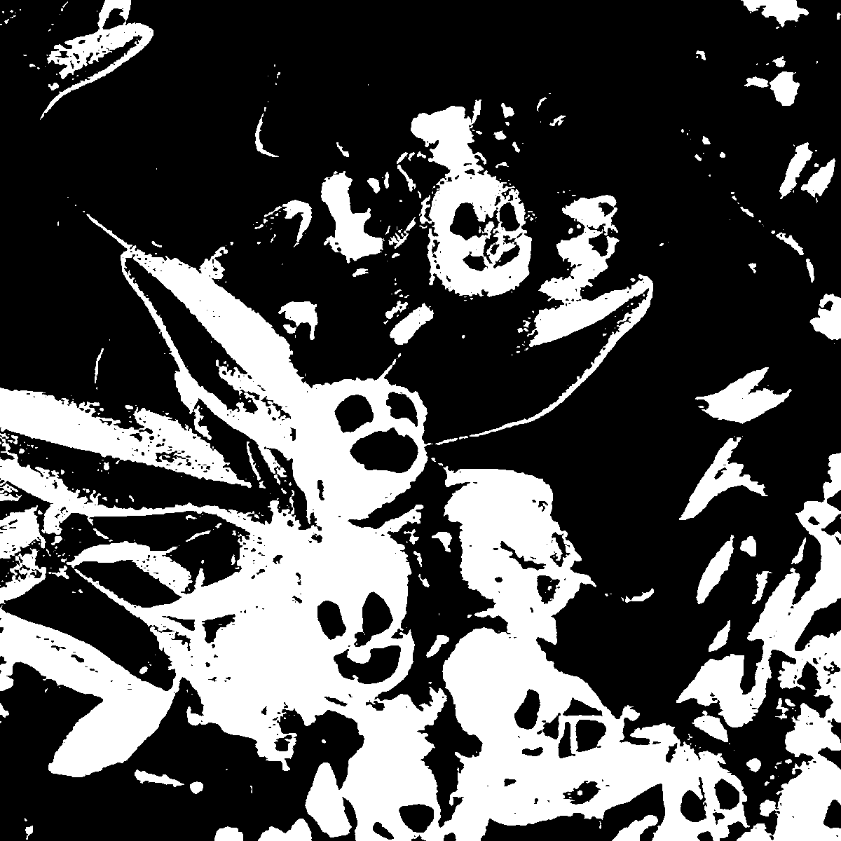 Loki_odn's tweet photo. When I'm necromancin'
Everyone's dancin'
No one can stop me, I dare you to try
The dead are infused with sensational groove
And they're coming for you now, there's nowhere to hide. https://t.co/qp06hsnM7J