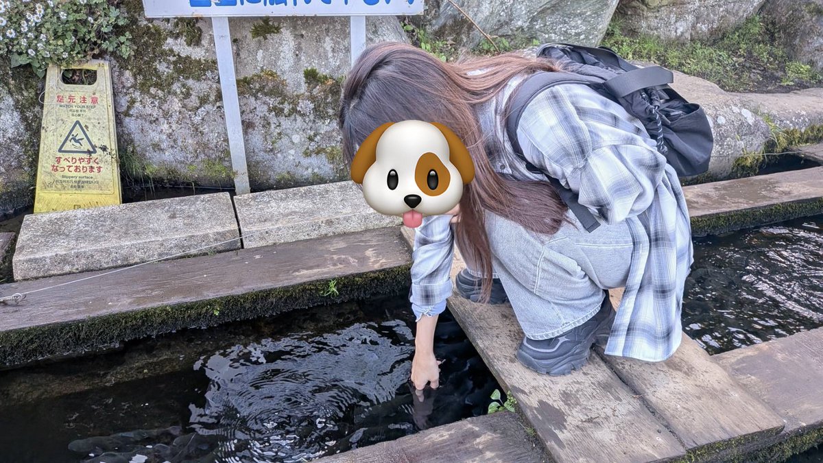 hmkr93's tweet photo. これはマスの大群に手を突っ込む私(普通に噛まれた) https://t.co/uCtLr1NP3p