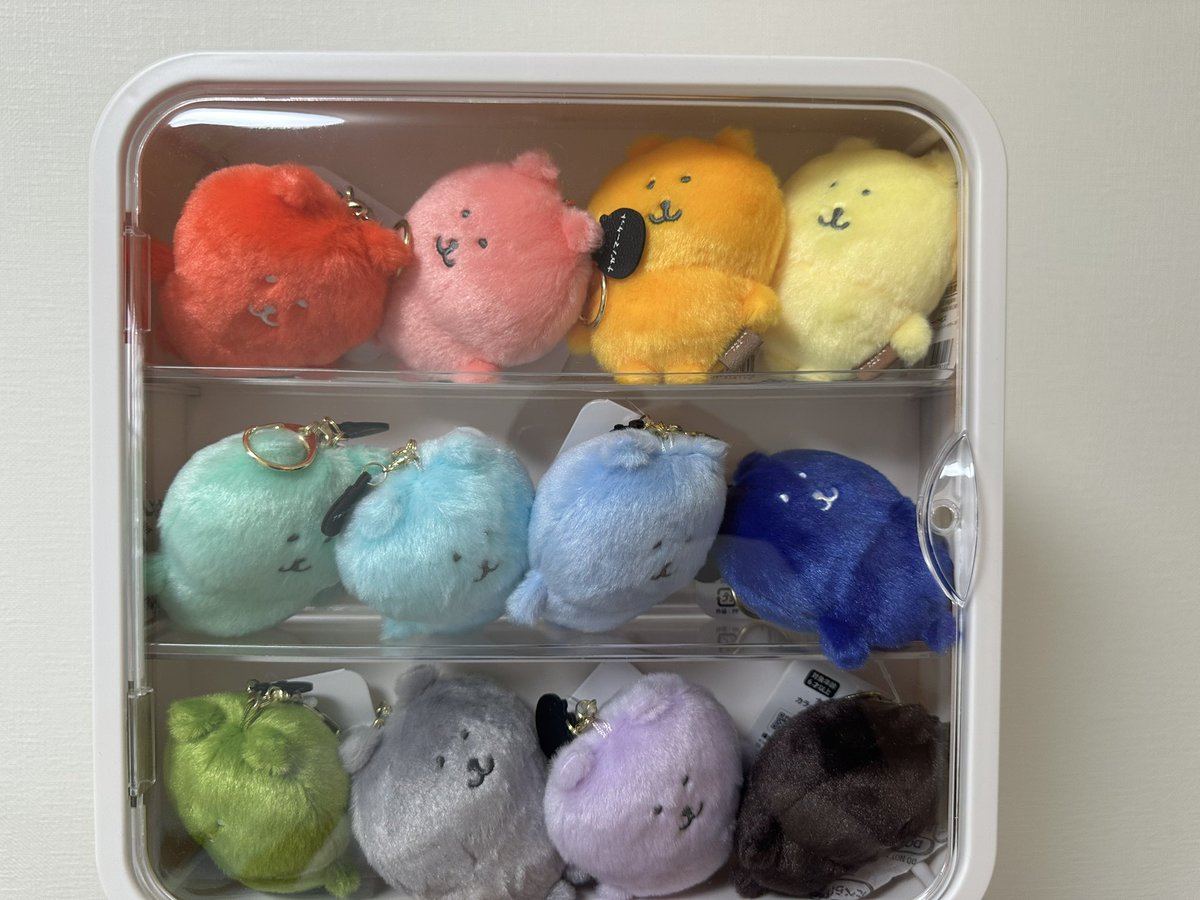 kuma_kumasu's tweet photo. 나의 넘버원은 너란다 담곰아 https://t.co/gf97MhEoGI