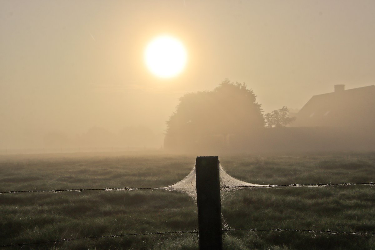 luclambert11's tweet photo. #vrtweer Luc Lambert 8u55 Emelgem mist en zon  wind WNW 20° https://t.co/V20VMko3GE
