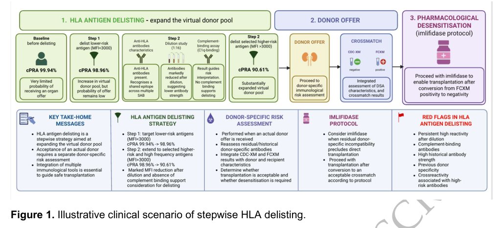 NDTsocial's tweet photo. Delisting strategies in highly sensitised kidney transplant candidates

🆓https://t.co/68Sg50DqLA https://t.co/sV6GXHtV3y